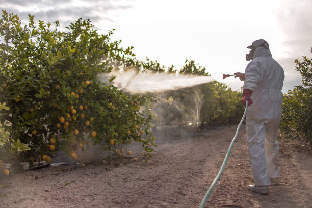 Best Best Pest Control Companies  in Lyons, OR